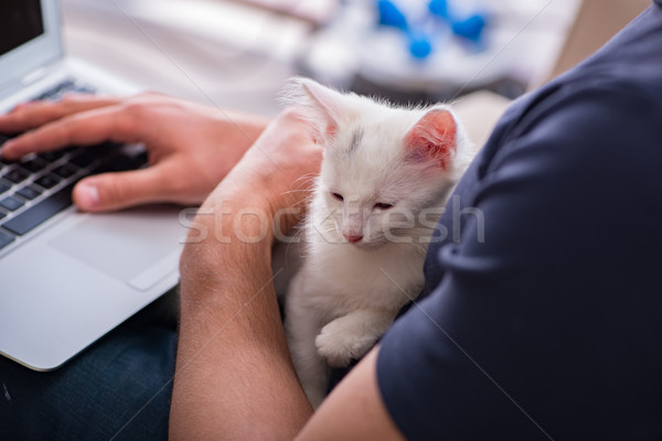 Adam çalışma dizüstü bilgisayar oynama kedi iş Stok fotoğraf © Elnur