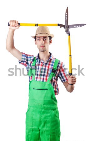 Man with axe isolated on white Stock photo © Elnur