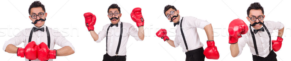 Foto stock: Engraçado · boxeador · isolado · branco · negócio · trabalhar