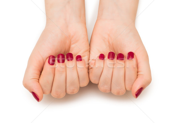 Woman hands with red nail isolated on white Stock photo © Elnur