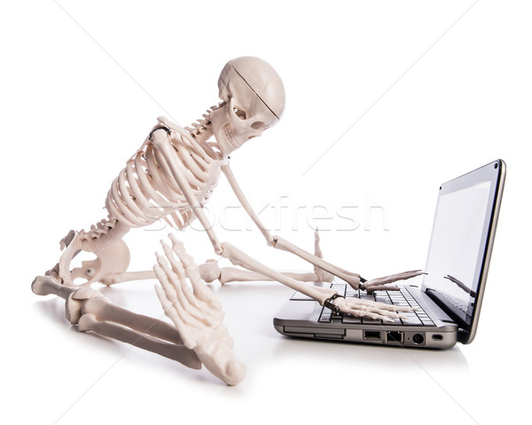 Esqueleto trabalhando laptop negócio tecnologia teclado Foto stock © Elnur