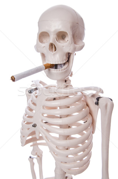 Skeleton smoking cigarette isolated on white Stock photo © Elnur