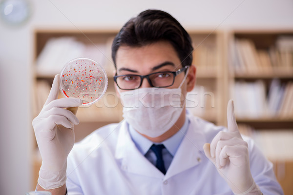 Doctor studying virus bacteria in the lab Stock photo © Elnur