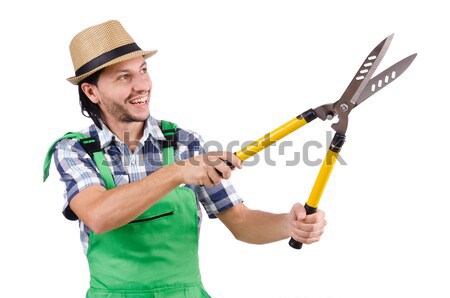 Man wearing safari hat in funny concept Stock photo © Elnur