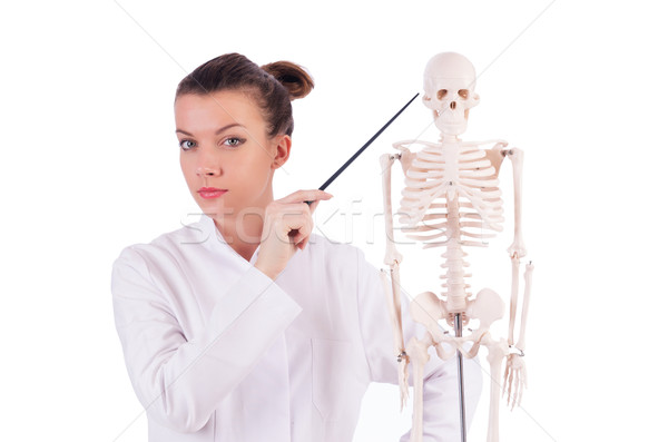 Médico esqueleto branco homem médico corpo Foto stock © Elnur