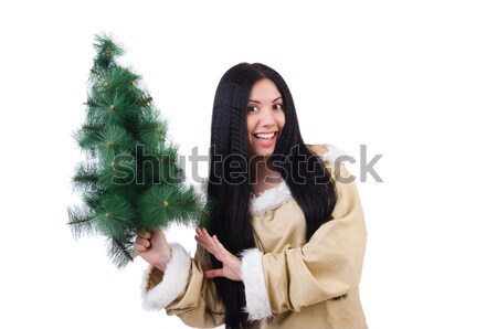 North woman with christmas tree isolated on white Stock photo © Elnur