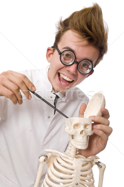 Funny doctor with skeleton isolated on white Stock photo © Elnur