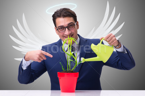 üzletember angyal befektető növekvő jövő profit Stock fotó © Elnur