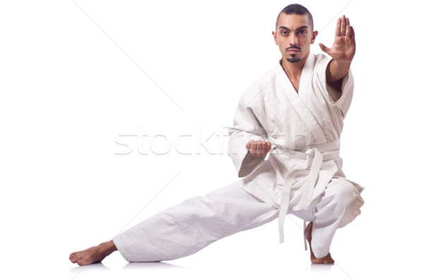 Karate Kämpfer isoliert weiß Sport Junge Stock foto © Elnur