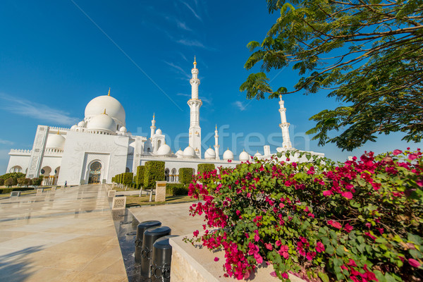 Moskee Abu Dhabi stad ontwerp asia panorama Stockfoto © Elnur