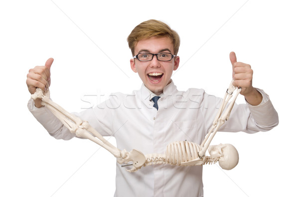 Funny doctor with skeleton isolated on white Stock photo © Elnur