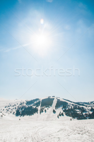 Winter mountains on bright winter day Stock photo © Elnur