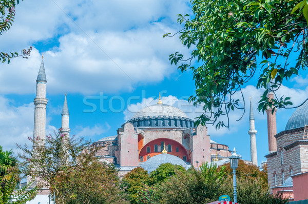 Famous mosque in turkish city of Istanbul Stock photo © Elnur