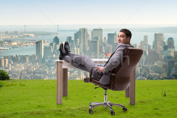 Businessman sitting on grass with city view Stock photo © Elnur