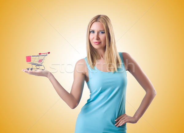 Mujer cesta de la compra aislado blanco negocios nina Foto stock © Elnur