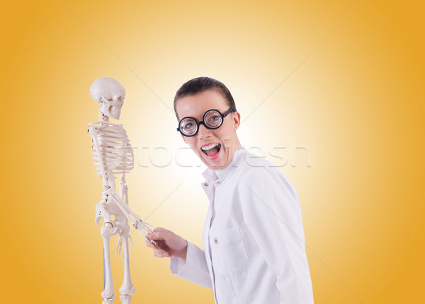 Orvos csontváz gradiens férfi orvosi test Stock fotó © Elnur