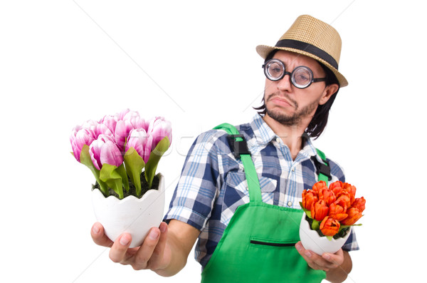 Man gardener with flowers on white Stock photo © Elnur