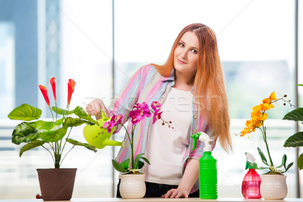 Stockfoto: Vrouw · zorg · planten · home