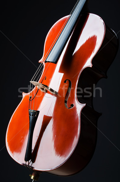 Violin on the black background Stock photo © Elnur