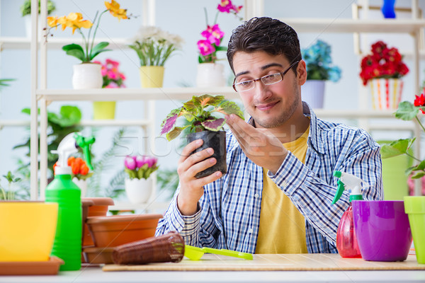 Joven florista de trabajo flor hierba Foto stock © Elnur