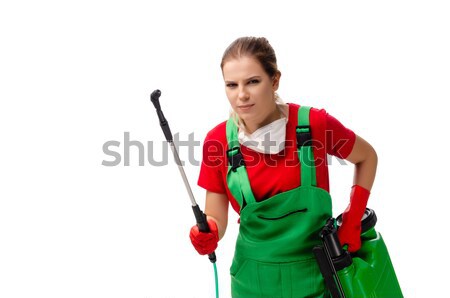 Young repairman with a welding gun electrode and a helmet isolat Stock photo © Elnur