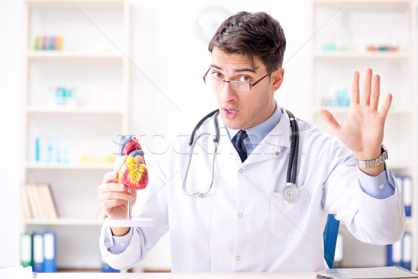Stock photo: Doctor lecturer explaining the heart model