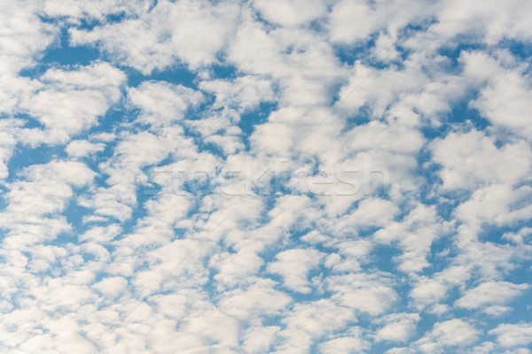 Cloudscape of bright blue sky Stock photo © Elnur