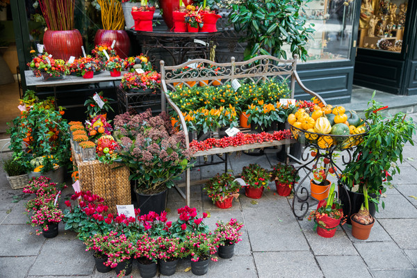 Street flower shop with colourful flowers Stock photo © Elnur