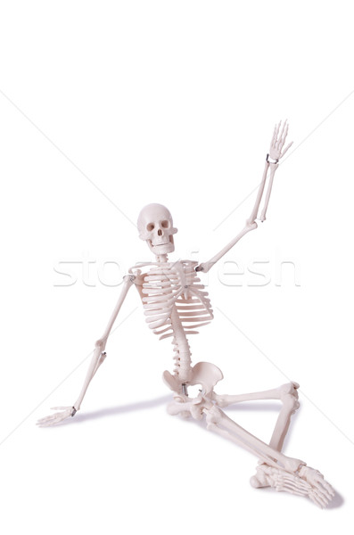 Csontváz izolált fehér férfi orvosi test Stock fotó © Elnur