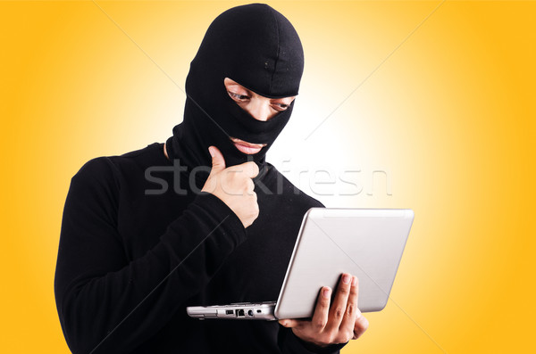 Hacker with computer wearing balaclava Stock photo © Elnur