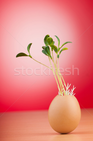 Foto stock: Huevos · verde · planta · de · semillero · primavera · huevo