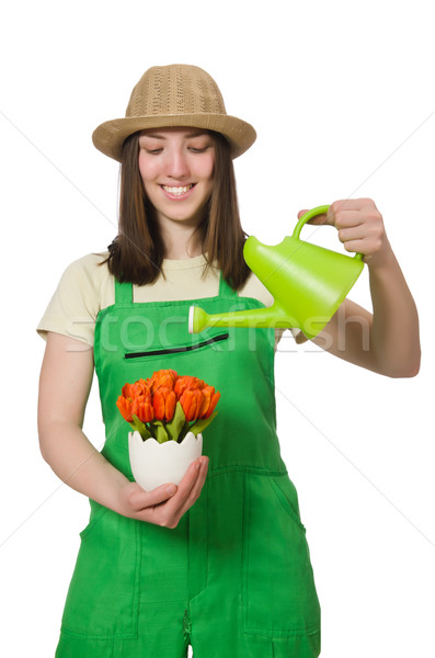 Foto stock: Menina · plantas · branco · mulher · sorrir