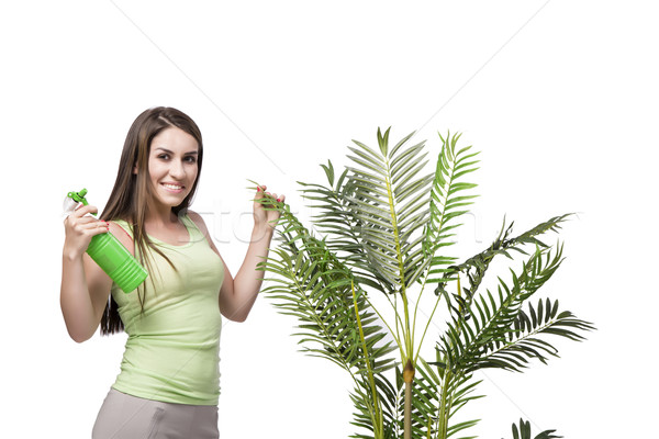 Foto stock: Mujer · toma · atención · planta · aislado · blanco