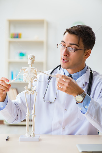 Stock foto: Arzt · Studenten · Studium · Knochen · Skelett · Mann