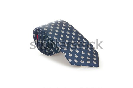 Elegáns selyem férfi nyakkendő nyakkendő fehér Stock fotó © Elnur