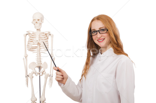 Young female doctor with skeleton isolated on white Stock photo © Elnur