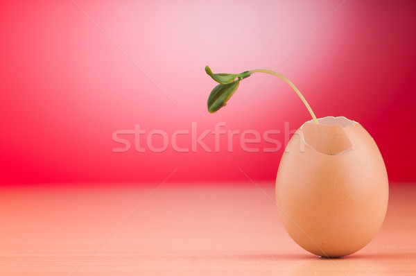 Stock foto: Eier · grünen · Sämling · Frühling · Ei