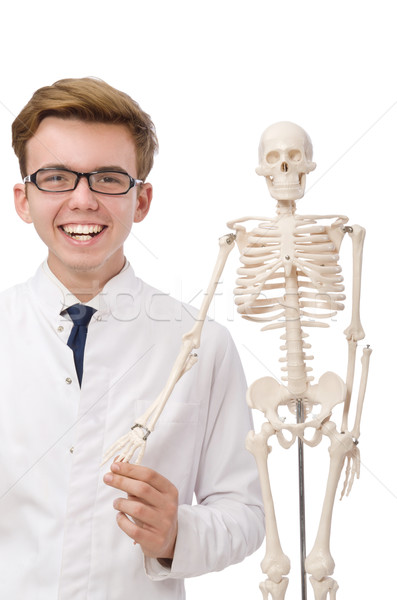 Funny doctor with skeleton isolated on white Stock photo © Elnur