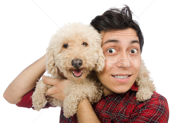 Junger Mann Hund isoliert weiß Haar Hintergrund Stock foto © Elnur