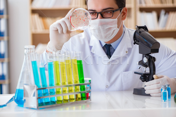 Doctor studying virus bacteria in the lab Stock photo © Elnur