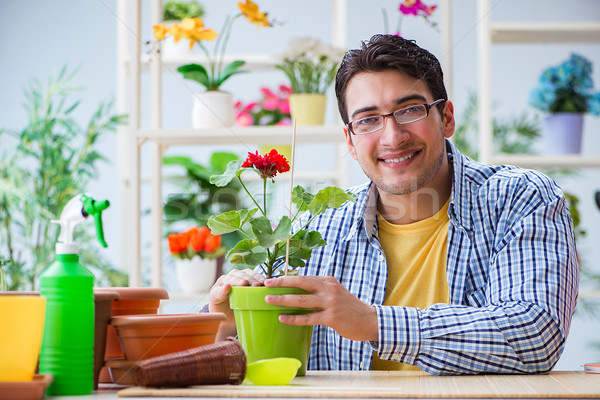 Foto stock: Joven · florista · de · trabajo · flor · casa