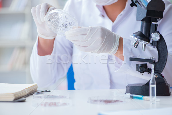 Female scientist researcher conducting an experiment in a labora Stock photo © Elnur