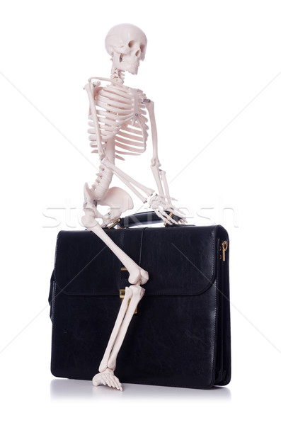 Skeleton with suitcase isolated on white Stock photo © Elnur