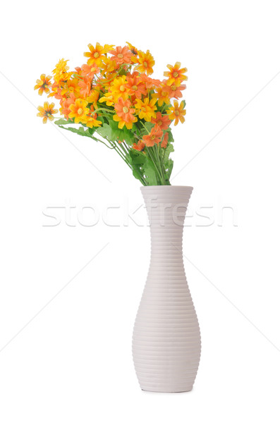 Stockfoto: Daisy · kamille · bloemen · geïsoleerd · witte · gras