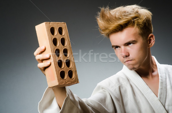Funny Karate Kämpfer Ton Ziegel Modell Stock foto © Elnur