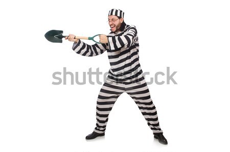 Prison inmate with spade isolated on white Stock photo © Elnur
