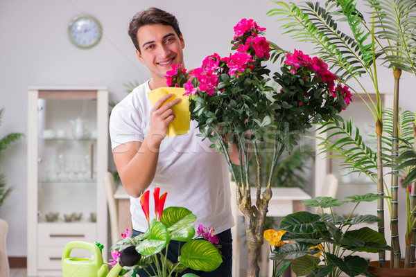 Young man in gardening concept at home Stock photo © Elnur