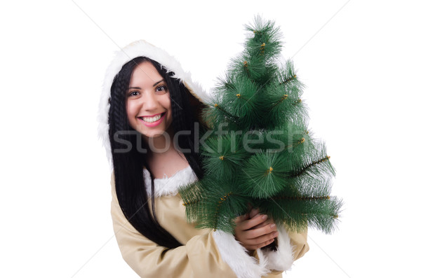 North woman with christmas tree isolated on white Stock photo © Elnur