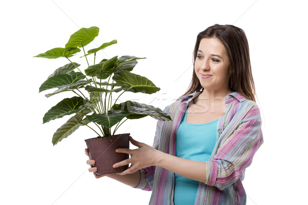 [[stock_photo]]: Jeune · femme · soins · plantes · isolé · blanche