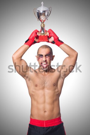 Soldier isolated on the white background Stock photo © Elnur